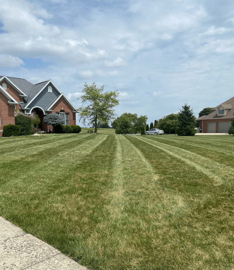 Precision Mowing Service